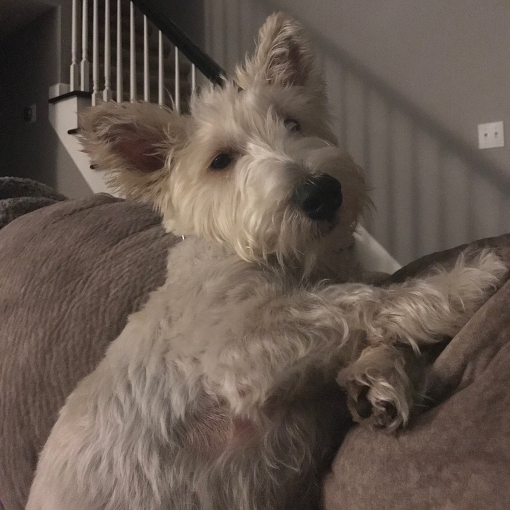 Meet your Posher, Karen